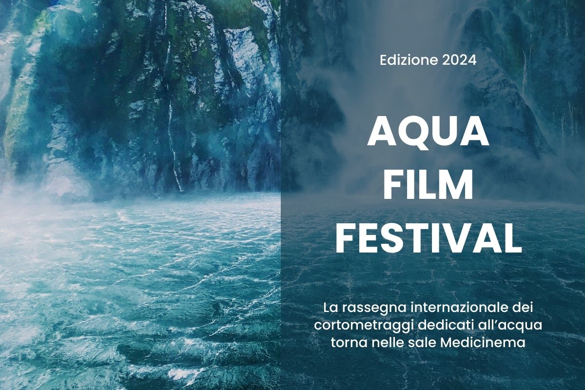 Aqua Film Festival 2024 1.jpg