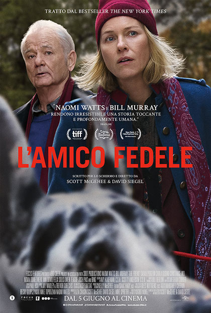 Medicinema Italia - L'amico fedele